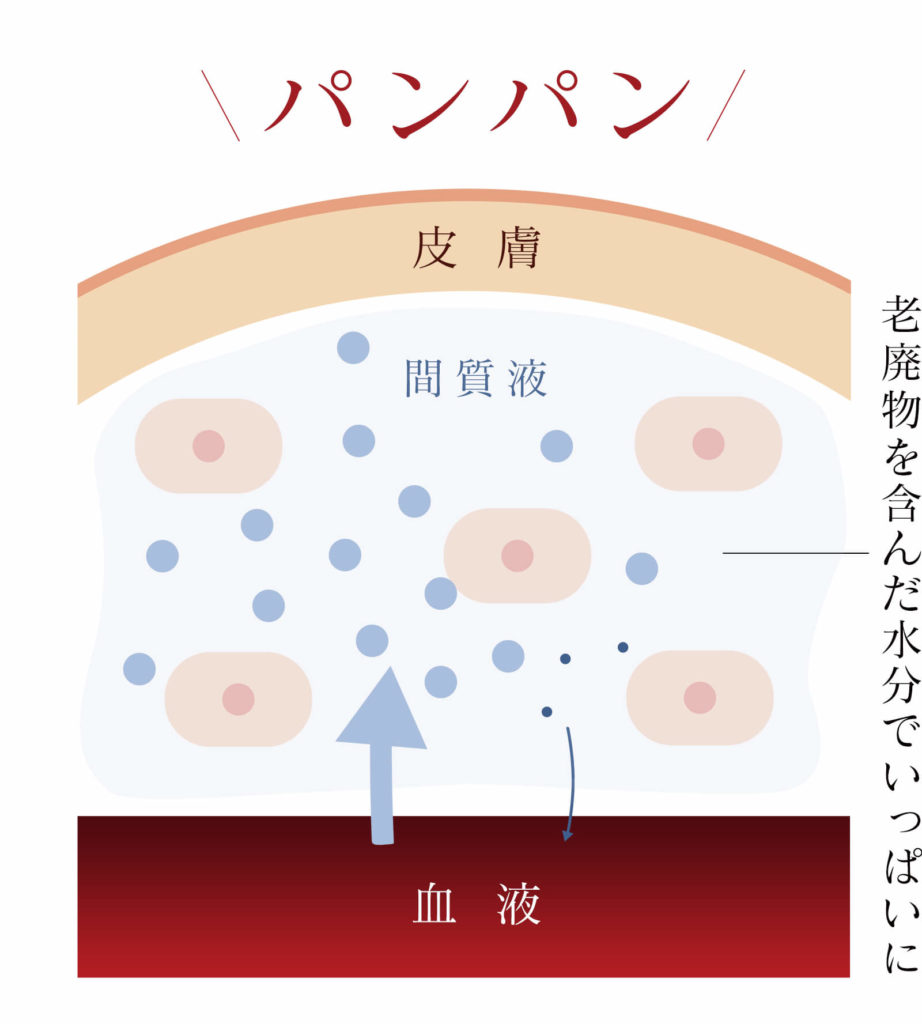 毛細血管パンパン